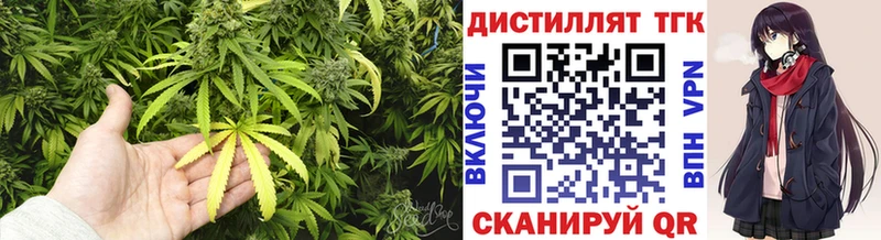 Дистиллят ТГК Wax  Нестеров 